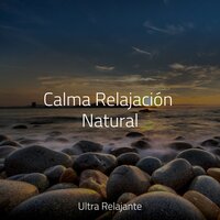 Maestro Oyente - Ambiente & Sonidos de la Naturaleza Relajacion & Academia de Relaxamento e Meditação