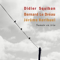 La maison d'écume - Didier Squiban & Bernard Le Dréau & Jérôme Kerihuel