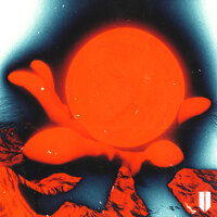 Top - Gin & Ipsilon