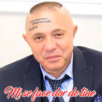 Inelul - Nicolae Guta