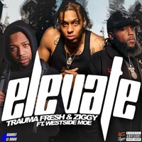 Elevate - Trauma Fresh & ZIGGY & Westside Moe