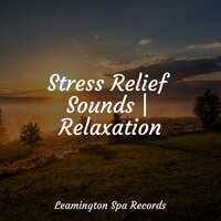 Sailing Beyond Horizons - Entspannungsmusik Meer & Water Soundscapes & Rain Spa