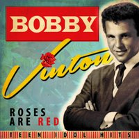 If I Give My Heart to You - Bobby Vinton