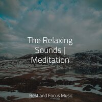 Hummingbirds at Play - Alpha Waves & Musica Reiki