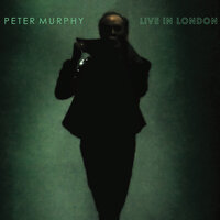 The Passion of Lovers - Peter Murphy & Mark Gemini Thwaite & Peter John Murphy & Marc Slutsky & David John Haskins & Will Shapland