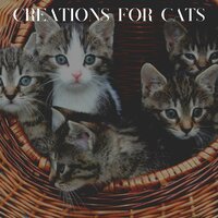 Molly Melody - Music For Cats Peace