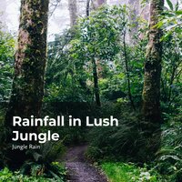 Woodland Steady Rain - Nature and Rain & Deep Rain Sampling & Jungle Rain