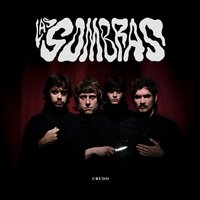 Los Chicos de Tu Barrio - Las Sombras