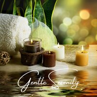 Starry Lullaby - Spa Music Hour
