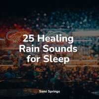 Seagulls on the Beach (Relaxing Ocean Waves) - Natural Sound Makers & Rain Sounds & Ocean Sounds