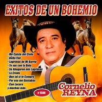 Te Vas Con la Bola - Cornelio Reyna