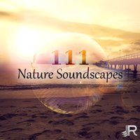 Concentration Music - Mothers Nature Music Academy