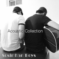 Shy woman (inst.) - Timid Brothers