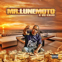 Sharks & Elephants - Mr. LuneMoto