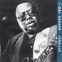 Monkey Faced - Jimmy Rogers