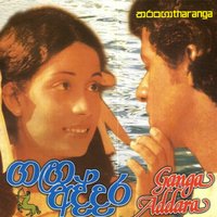 Adare - Victor & Nirosha Virajini