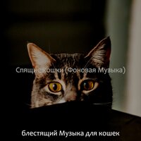 Созерцая (Подчеркнутые кошки) - блестящий Музыка для кошек