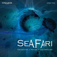 Marine Fauna - Paolo Vivaldi & Fabrizio Pigliucci