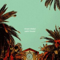 Palm Strings - Arsen Abdul