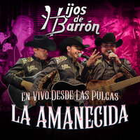 La Celda de un Loco - Hijos De Barrón