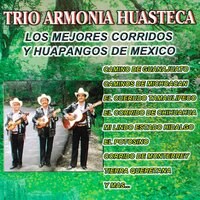 Tierra Queretana - Trio Armonia Huasteca