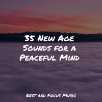 Levity Session - Sleeping Music & Zen Music Garden & Music For Absolute Sleep