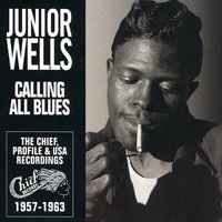 Universal Rock - Junior Wells