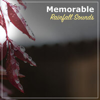 Dark Storm - Loopable Rain Sounds