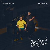 0008 - Vigro Deep & Freddy K