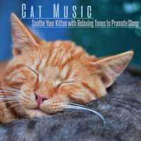 Soothing Massage - Music For Cats Peace & Cat Music Dreams & RelaxMyCat