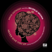 Never Give You Up - Dave Anthony