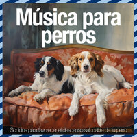 Amor sin fin - Relax My Dog & Dog Music Dreams & Puppy Music Therapy