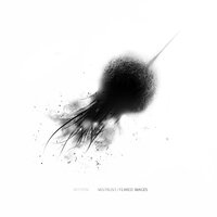 Feared Images - Notion