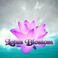 Free Time - Chakra Relaxation Oasis