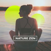Night - ZEN