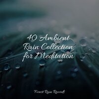 Ocean, Shore, Sparrows - Zen Music Garden & Ambient Rain & Spa Relaxation