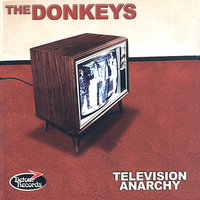 You Jane - The Donkeys