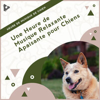 Musique douce au bord de l'océan - Heure de Musique de Chien & Musique Relaxante pour Chiens & Musique Apaisante pour Chiots