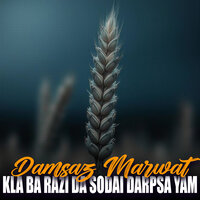 Akhtar Ta rashga Za Kawom Derta Swalona - Damsaz Marwat
