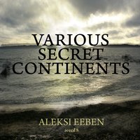 The Black Salamander - Aleksi Eeben