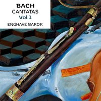 Ich bin ein guter Hirt, BWV 85: IV. "Wenn die Mietlinge schlafen" (Recitativo) - Enghave Barok & Mathias Hedegaard & Johann Sebastian Bach
