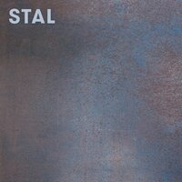 Bergman Phase - Atom™ & Jacek Sienkiewicz