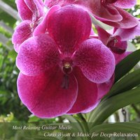 Largo from New World Symphony - Music for Deep Relaxation