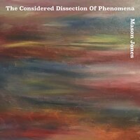 The Considered Dissection Of Phenomena - Two - Mason Jones
