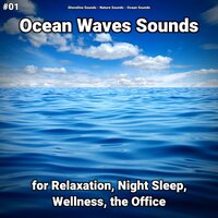 Ocean Waves Sounds Part 21 - shoreline sounds & Nature Sounds & Ocean Sounds
