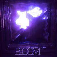 Bloom - Saza & SENOKOSS