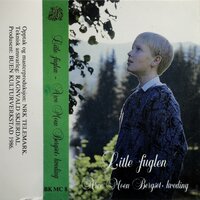 Litle Fuglen - Arve Moen Bergset