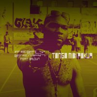 Ndoki - FeLiFly Lifeman feat. BroWn & FeliFly Lifeman & Brown