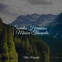 Rebobinado - Musica para Meditar Especialistas & Sons da Natureza Relax & Dormir Sol