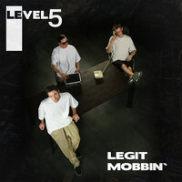 None of Your Business - Level 5 & Tegnone
